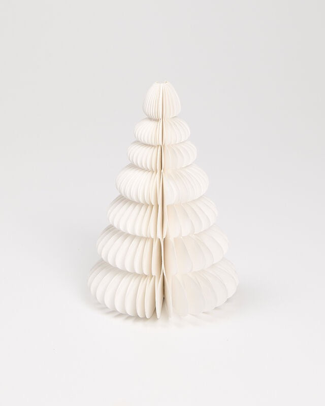 Valkoinen paperikuusi 16 cm