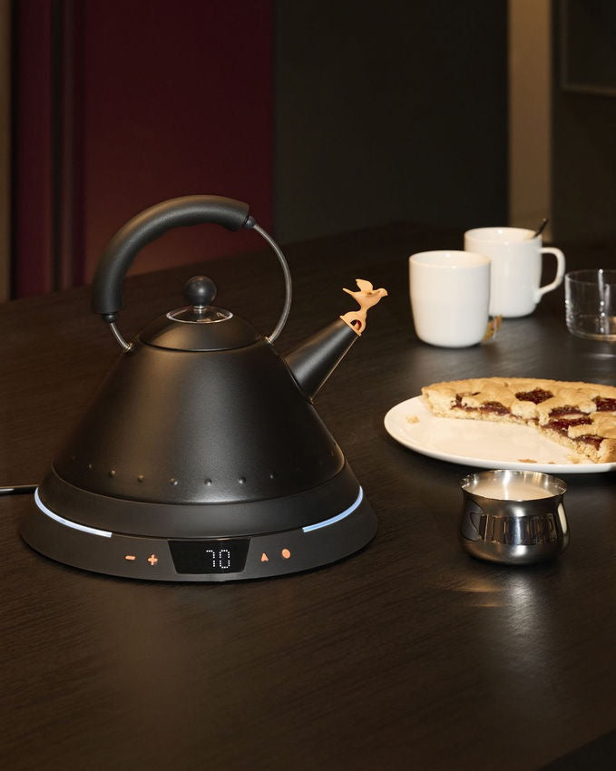 Vedenkeitin, klassikko lintupannu, lämpötilan säätimellä