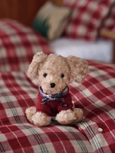 Teddy pehmo koira