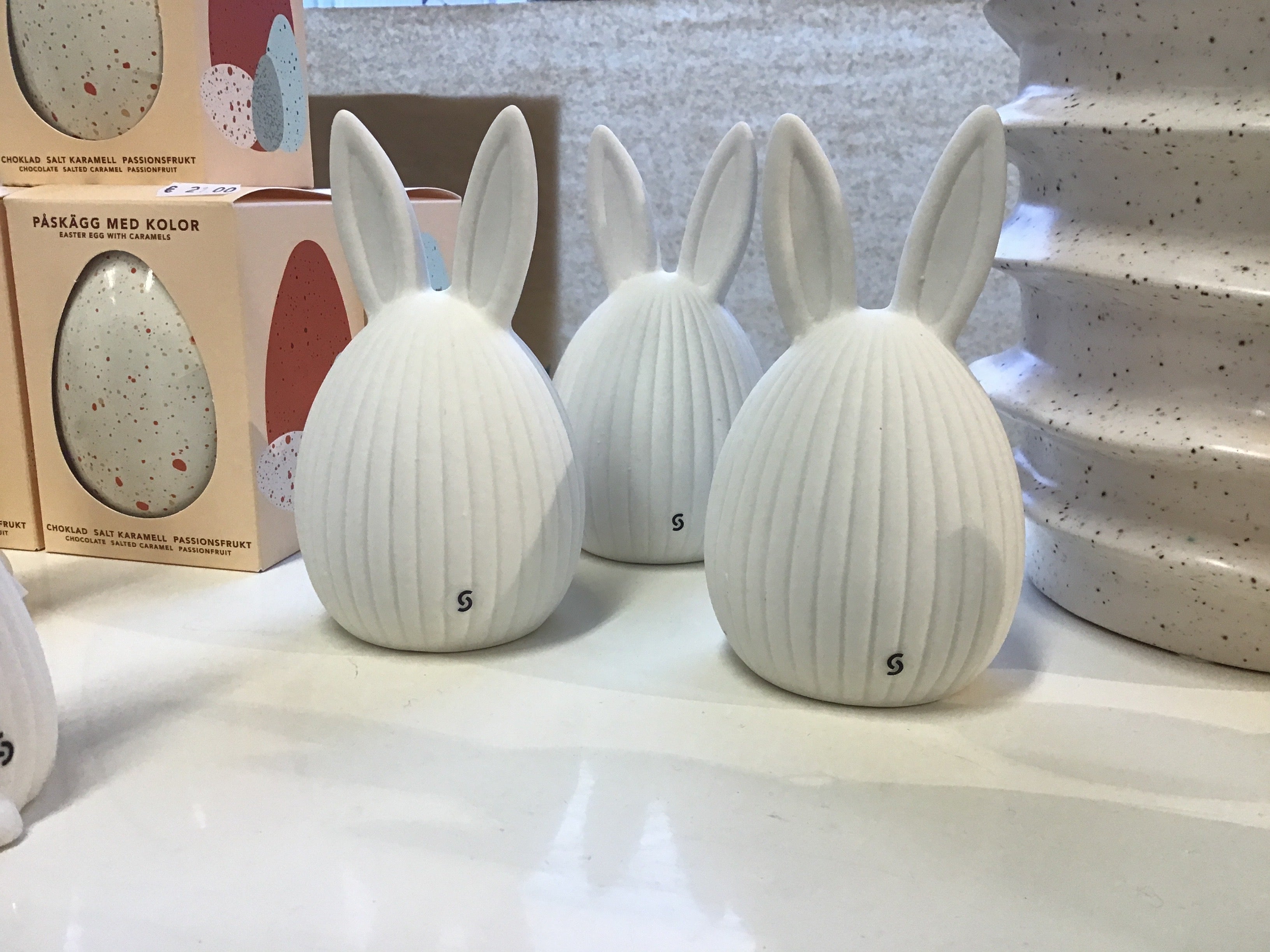 Pupu raitainen, isot korvat, Meja