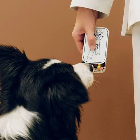 Hay Dogs herkkurasia sinivalkoinen