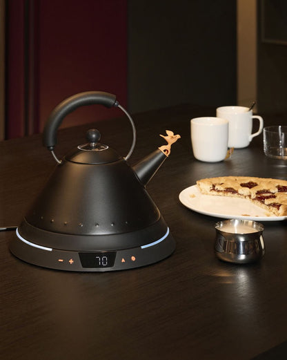 Vedenkeitin, klassikko lintupannu, lämpötilan säätimellä